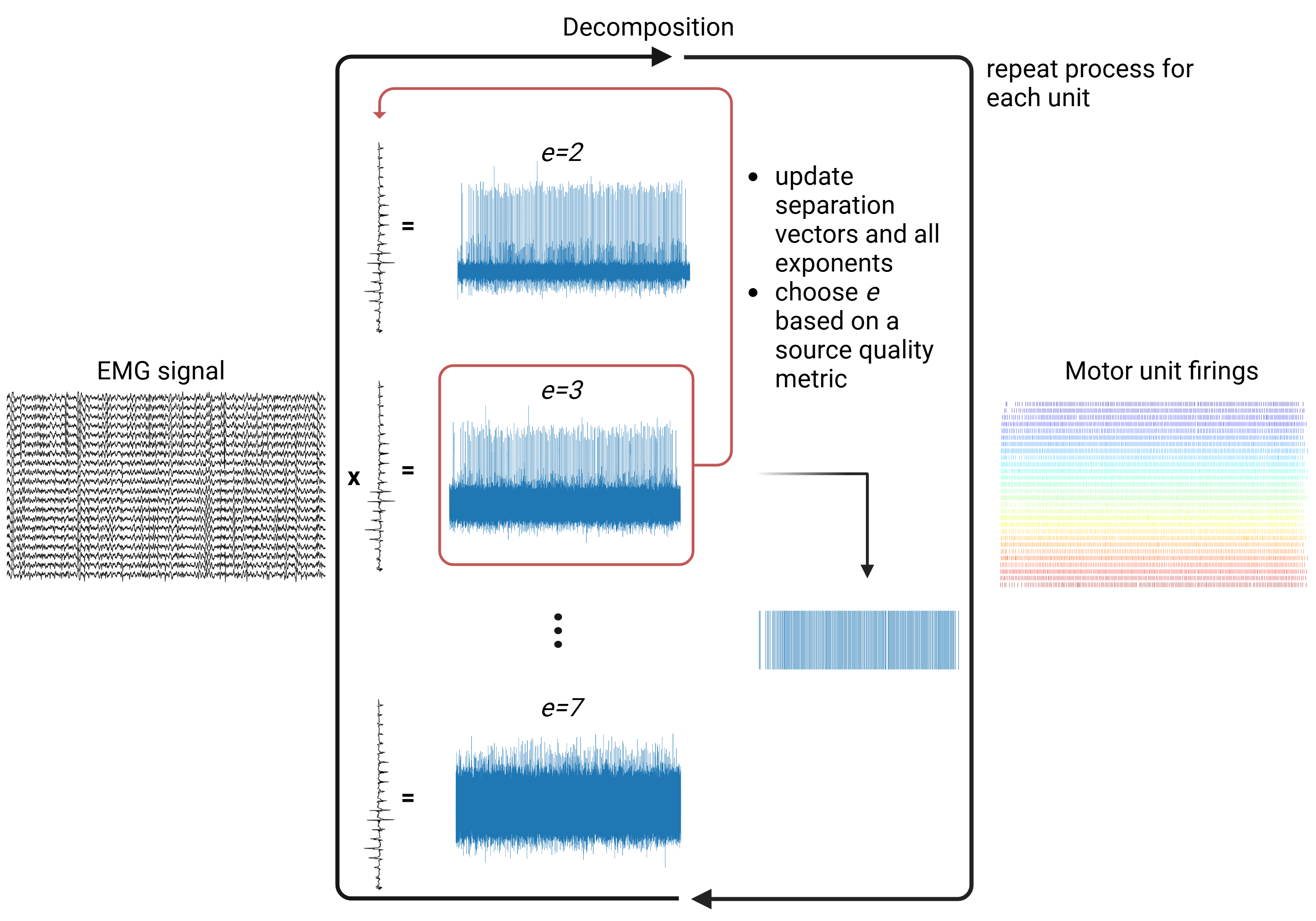 SCD workflow diagram showing multichannel EMG signals separated into source components and motor unit discharge trains
